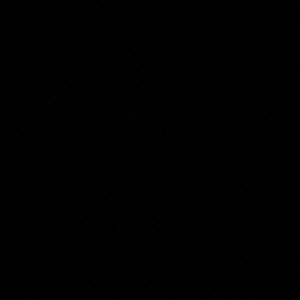 Meet your Posher, Summer